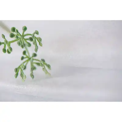 Prześcieradło Włókninowe Białe Gładkie 30G 70cm x 50 m Rolka